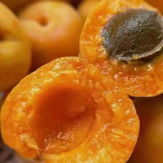 阿克苏市新疆小红杏，自然成熟，甜蜜多汁，一件代发包邮