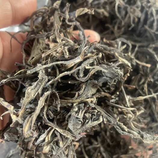 普洱茶 绿茶 古树茶 冲泡好茶 夏天口气清新茶 经典陈年老茶