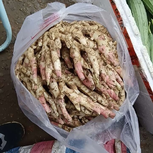 福安市福安生姜