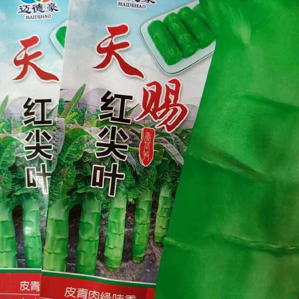 天赐红尖叶香莴笋种子青皮绿肉耐寒抗病节间稀高桩大棒秋冬春基地