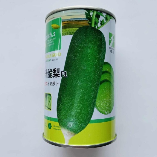 南京爆汁脆梨萝卜种子秋季杂交水果萝卜种籽脆甜水分足糖分高青萝卜籽