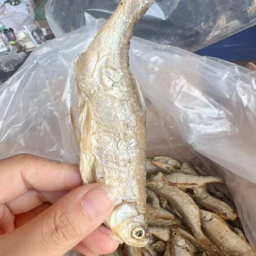 佛山开肚油炸翘嘴鱼干 地摊 电商 白条鱼 刁子鱼干 餐条鱼干