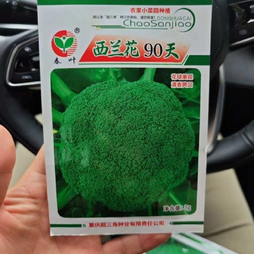 邵东市西兰花种子好吃四季耐寒易种绿菜花椰菜庭院菜园蔬菜种子花菜籽孑
