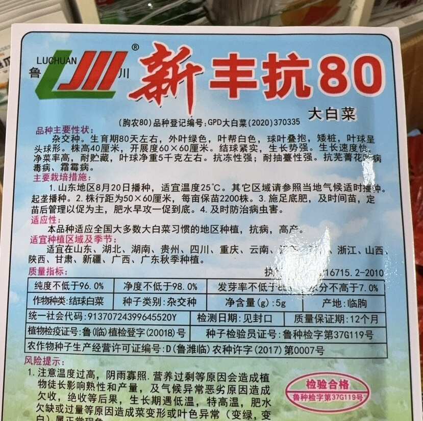 正品山东丰抗大白菜种子抗病好吃包心大白菜籽农家秋冬播蔬菜种子