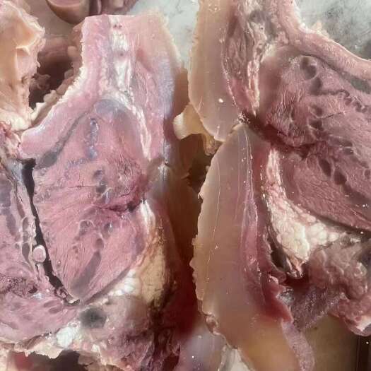 阳信县熟牛头肉，原味