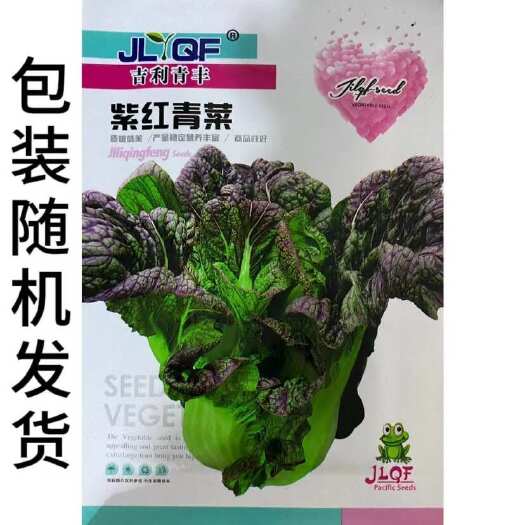 邵东市紫红青菜种子芥菜红筋青菜种子四川大肉青菜种子腌制泡菜蔬菜种子