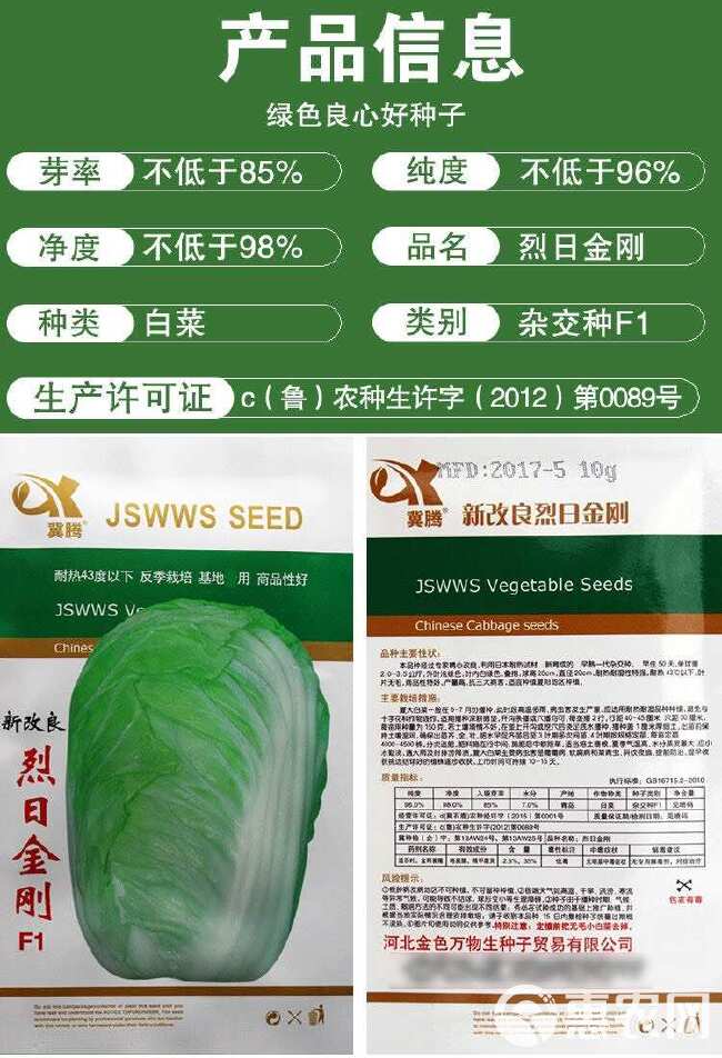 夏阳耐热大白菜种子种籽蔬菜孑籽种山东夏季高温秋季四季白莱