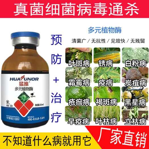 郑州猛推真菌细菌病害霜霉病白粉病炭疽病杀菌剂叶面肥
