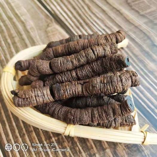 巴戟天九蒸九晒巴戟天鸡肠风煲汤泡酒即食中药材