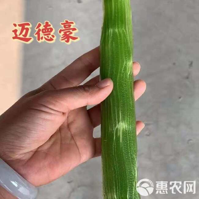 红尖叶香莴笋种籽耐寒高桩大棒九州红红皮青肉质脆味香基地专用