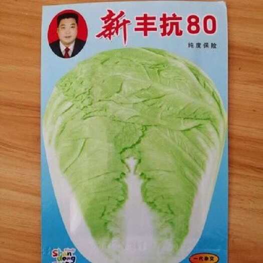 邵东市正品山东丰抗大白菜种子抗病好吃包心大白菜籽农家秋冬播蔬菜种子