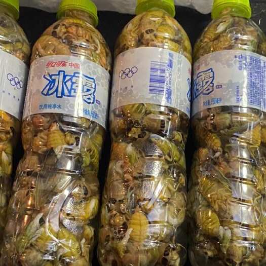 霞浦县一瓶50只