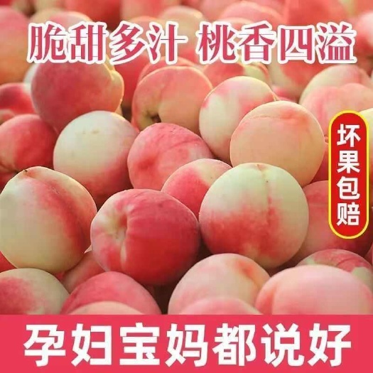 新鲜水蜜桃3/5/10斤脆甜大毛桃现摘桃子应季水果孕妇说好吃