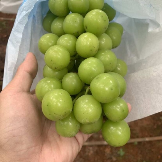 建水县一件代发，对接各大电商平台