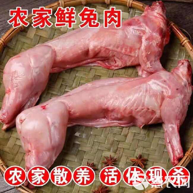 新鲜兔子肉活兔现杀大兔子肉农家散养兔肉去头带头白条兔冷冻兔肉