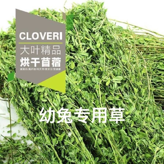兔粮烘干苜蓿草兔子龙猫荷兰猪牧草干草饲料成兔幼兔粮食物新草