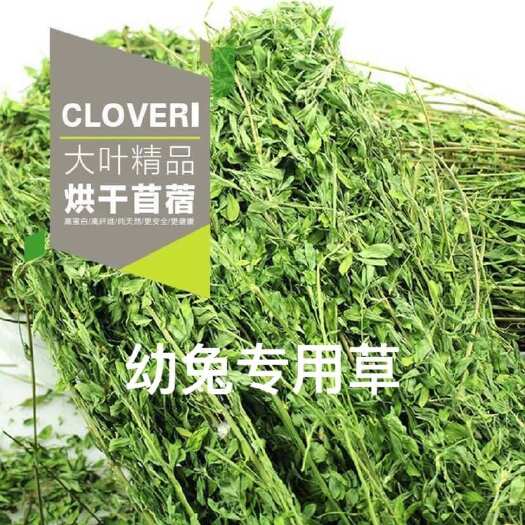 襄汾县兔粮烘干苜蓿草兔子龙猫荷兰猪牧草干草饲料成兔幼兔粮食物新草