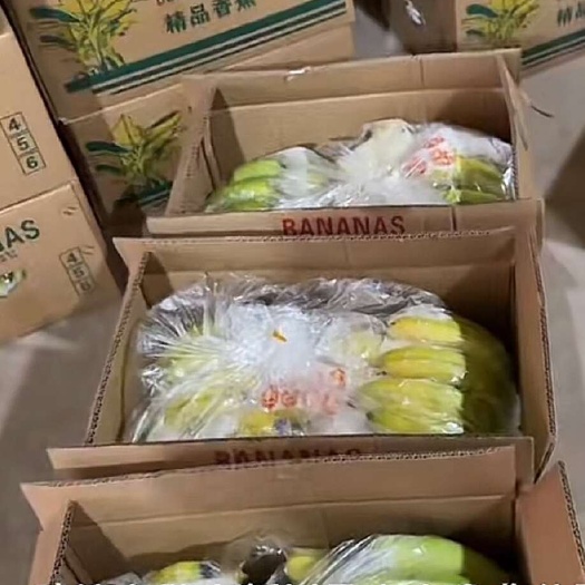 邯郸香蕉