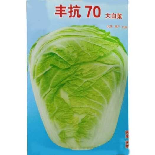 邵东市丰抗70 天大白菜嘎嘎好吃的早熟晚熟大白菜种籽杂交包心