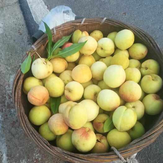 重庆市父母在家种植的，桃子的品种不知道叫什，总之桃子很脆，大小合适
