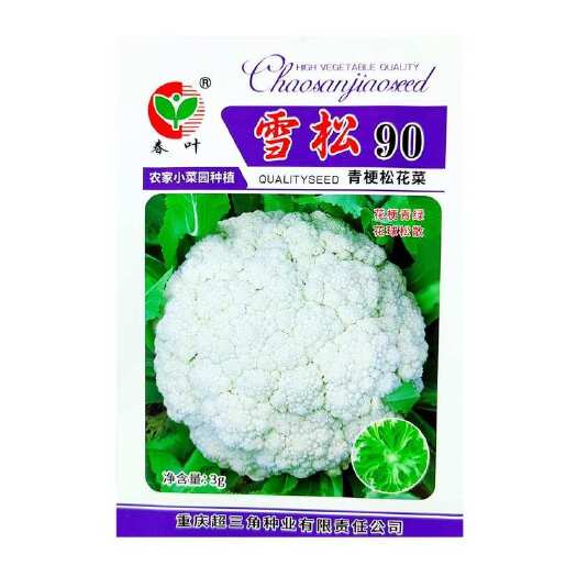 邵东市精品松花菜种子好吃90天老牌子松花菜花椰菜种籽秋季花菜种