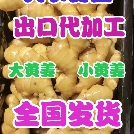 小黄姜【电商】【团购 】【超市 】【零售商】 全国发货