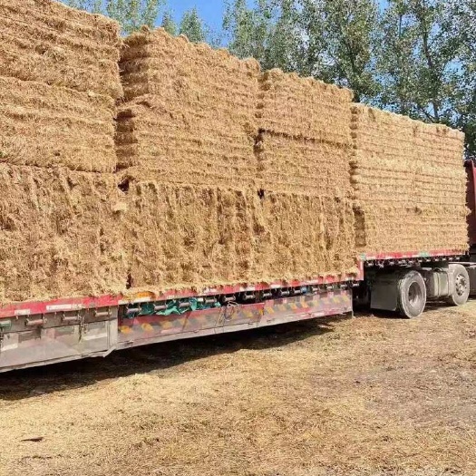 临泉县小麦秸秆揉丝除尘五道绳牛羊饲草