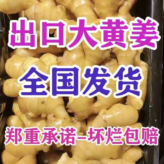 沂水县供应【电商/团购/超市/批发/零售货】水洗黄姜风干姜姜把