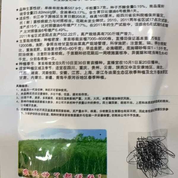 大籽矮杆抗伏倒油菜种子榨油抗病油菜籽种子耐寒油菜花种籽子