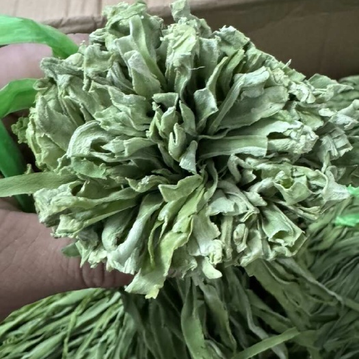 干贡菜去根去尾高端出口绿色贡菜产地直供批发