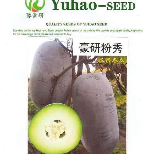 扶沟县豪研粉香水果型冬瓜种子~早熟连续结能力强口感好6000公