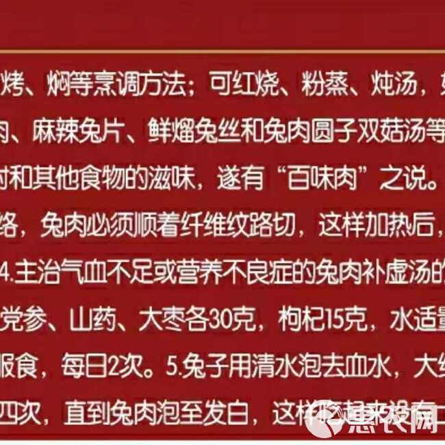 新鲜兔子肉活兔现杀大兔子肉农家散养兔肉去头带头白条兔冷冻兔肉