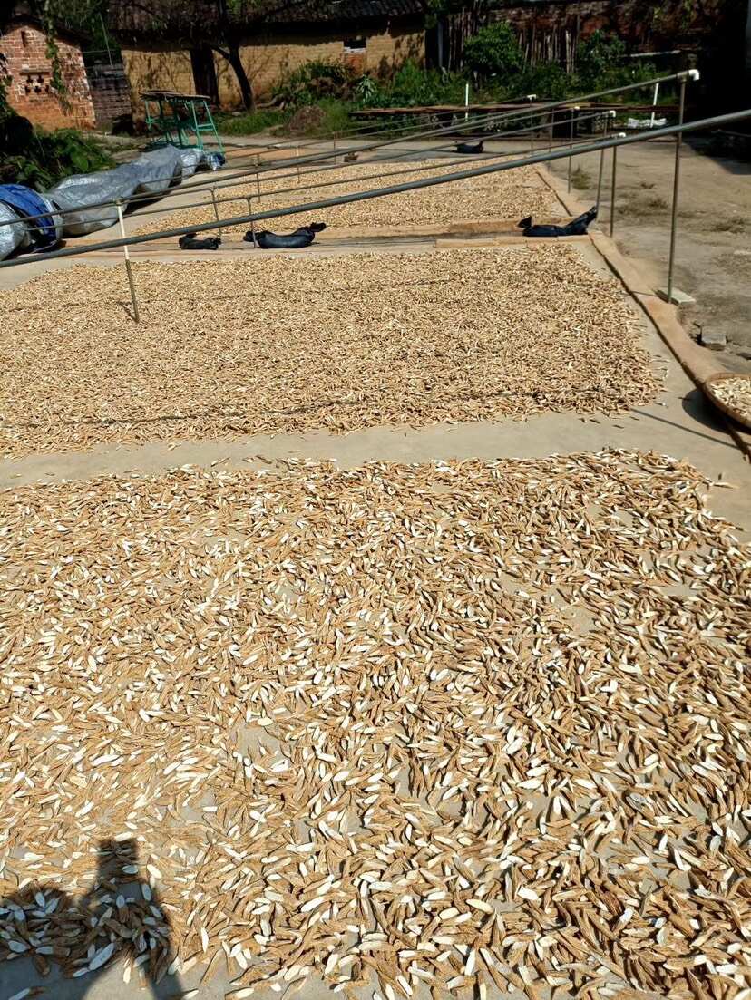 牛大力无硫粉质牛大力