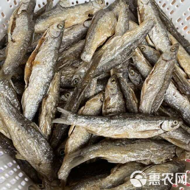 油炸小鱼干 油炸白条鱼 ￼ 白条鱼批发手工破肚