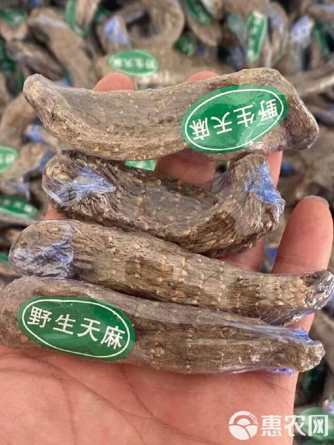 乌天麻 乌天麻  独立包装 产地云南