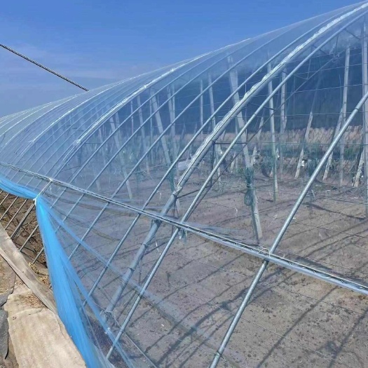 青州市白PO膜 连栋温室专用大棚膜10丝  12丝 15丝