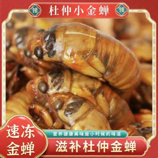 灵宝市2025年新货小金蝉