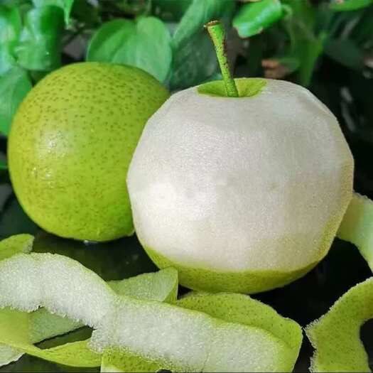 荆州翠冠梨，自产自销，湖北荆州2万斤，7月20日左右采摘