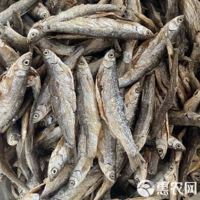 油炸小鱼干 油炸白条鱼 ￼ 白条鱼批发手工破肚