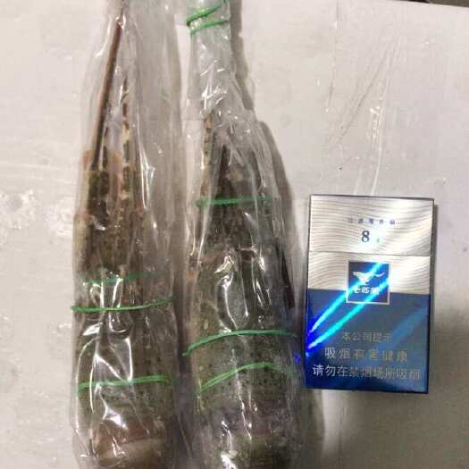 沈阳小青龙150-200