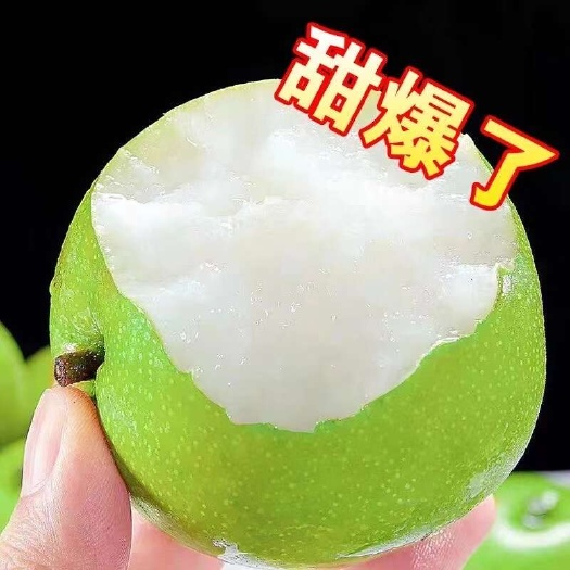 砀山县翠玉梨