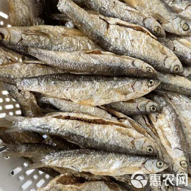 油炸小鱼干 油炸白条鱼 ￼ 白条鱼批发手工破肚