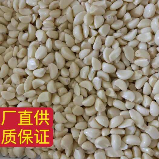 兰陵县苍山蒜米工厂直供，品质高价格低，货发全国