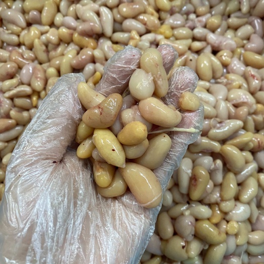 汕头新鲜鸡子，100-150规格