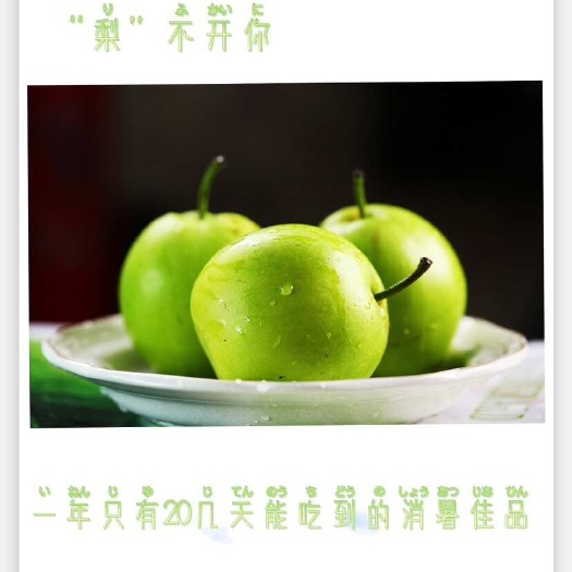 枣阳市梨