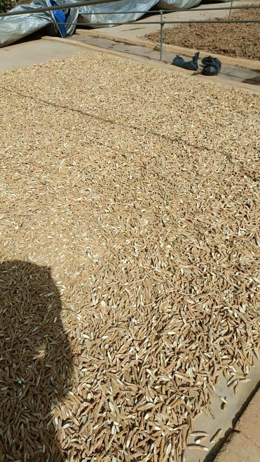 牛大力无硫粉质牛大力
