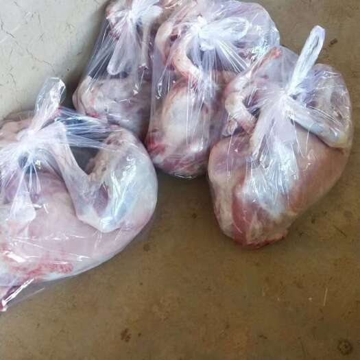 会宁县羊碎肉