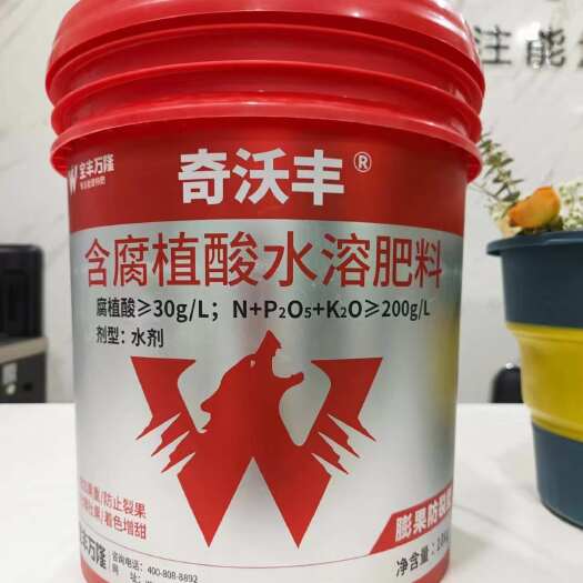 宝丰县养根套餐