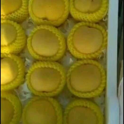 连云港锦香黄桃