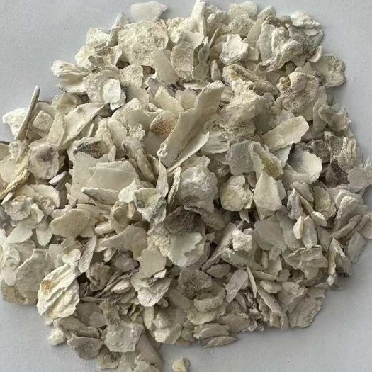 阳西县中药材牡蛎蚝壳